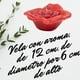 thumbnail image 1 of Vela aromatica de rosa roja 2 piezas, 1 of 5