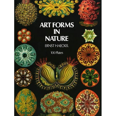 Dover Pictorial Archive Art Forms in Nature, (Paperback)