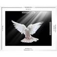 thumbnail image 5 of Art.com A Free Flying White Dove Isolated On A Black Background Art Print by Irochka, White Frame Wall Art, 29" x 23", 5 of 5
