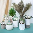 thumbnail image 5 of 15 Pcs Funny Phrases Plant Labels 15 Styles Acrylic Succulent Cactus Pattern Potted Plant Markers, 5 of 9