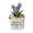 Purple, variant on Personalized Glass Tulip Gift For Mom Grandma, Handcrafted Floral Glass Flower Birthday, For Mothers Custo Plant Potted Day