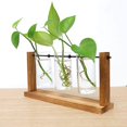 thumbnail image 1 of justharion Glass Tube Vase Flower Pot Planter Propagation Terrarium Home, 1 of 8