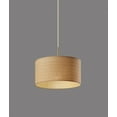 thumbnail image 2 of Adesso Harvest Pendant, 2 of 5