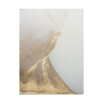 Trademark Fine Art 'Gold Fusion VI' Canvas Art by Julia Contacessi