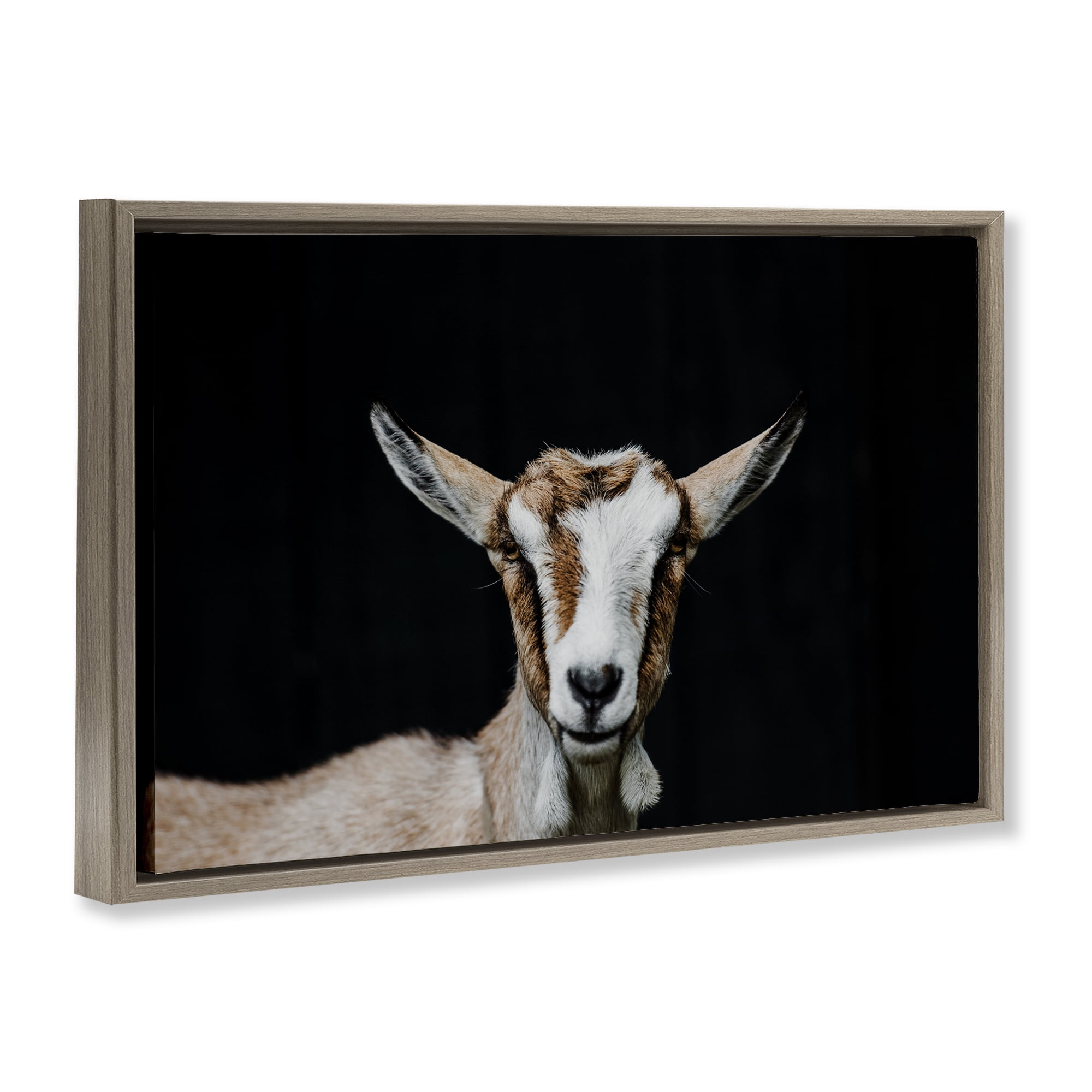 Goat Face over Black Brown Framed Floater Canvas Wall Art, design by Amy Carroll