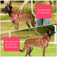 thumbnail image 6 of Katieovy Dog Harness and Dog Leash Set,Reflective No Pull Dog Harness for Medium Dog,Mesh Adjustable Dog Harness with Dog Poop Bag Holder,Pink, 6 of 7