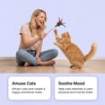 thumbnail image 4 of NEXAVKPR Active Catnips Sprays Liquid Sprays Refresher Organic Catnips for Kittens and Cats Relieves Stress, Calming, Revives Toy, 4 of 13