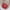 Red, variant on TERGAYEE Small Crossbody Bags Purses for Women,Lightweight Crossbody Handbags Cell Phone Purse,Women Simply Fashion Bag Strap Messenger Shoulder Bag Mobile Phone Bag