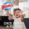 thumbnail image 4 of Limpiador líquido Windex original para vidrios y superficies 500 ml, 4 of 5