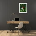 thumbnail image 3 of Nawrocke, Bruce 12x14 White Modern Wood Framed Museum Art Print Titled - Snacking Butterfly, 3 of 4