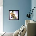 thumbnail image 5 of Hamster with Skateboard and Helmet, Framed Art Print Wall Art Sold by Art.Com, 5 of 5