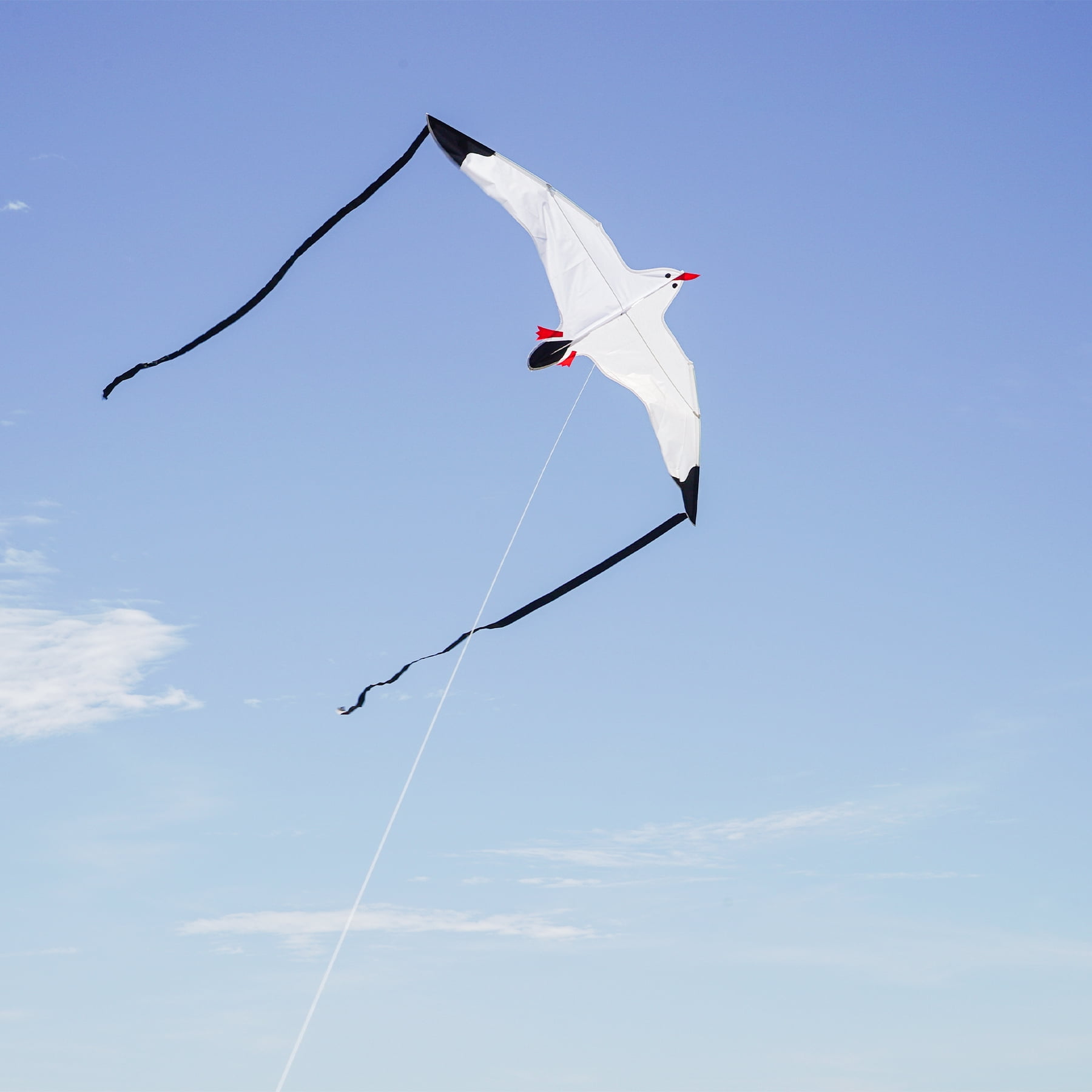 In the Breeze 3140 — Seagull Kite — Fun, Easy Flying Single-Line Kite for All Ages — Sea Life Kite