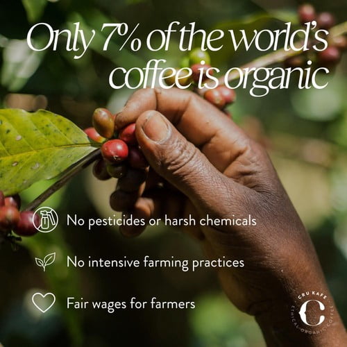 CRU Kafe Organic Fairtrade Decaf Pods, 20 pods per pack, British Import (Pack of 3)