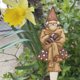thumbnail image 5 of Plant Garden Stake Grumpy Bernie Marcadores para Fern Bern Sign (4 piezas) Tmvgtek Para estrenar, 5 of 9