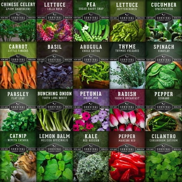 Set of (43) Current Year Assorted Vegetable & Herb Seeds - Create a ...