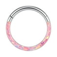 thumbnail image 4 of Miyuadkai Nose Jewelry 16G Opal Septum Rings Hoop Nose Ring Lip Rings Stainless Steel Hinged Segment Ring Seamless Ring Cartilage Earrings Hoop Tragus Septum Piercing Jewerly Jewelry Silver2 A, 4 of 13