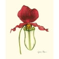thumbnail image 2 of Goldberger, Jennifer 12x14 Black Ornate Wood Framed with Double Matting Museum Art Print Titled - Majestic Orchid I, 2 of 4