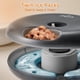 thumbnail image 4 of Dispensador automático de comida para gatos iPettie Donuts Frost WiFi 6 Meal, 4 of 8