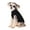 Black, variant on TELOLY Dog Clothes Simple-Chic Style Cute Dog Outfit Easy-On Sleeveless Dog Coat XS Black