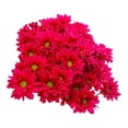 thumbnail image 4 of Bouquet margarita, 4 of 4