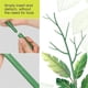 thumbnail image 5 of 6Pack Detachable Twig Plant Support Stakes Set,20Pcs Orchid Clip, 5 of 5