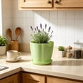 thumbnail image 6 of romoty Flower Petal Shaped Plastic Plant Pot with Saucer Green, 6.3 in Lightweight Decorative Succulent Planter with Drainage Hole for Indoor Outdoor Desk Garden Decor, 6 of 6