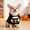 Black450, variant on Tuvgenk Halloween Pet Pastor Costume for Dogs Cats, Priest Outfit with Hood for Holiday Party Dress Up, Cute Photo Prop for Small Animals, Size L