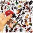 thumbnail image 2 of Pegatinas de vinilo impermeables con simulación de insectos, 50 unidades/lote, 2 of 5