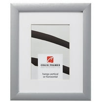 Craig Frames 23247018 24x24 inch Brushed Silver Picture Frame Matted for a 20x20 Photo