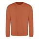 thumbnail image 1 of Awdis - Sudadera lisa con cuello redondo Unisex (Galleta de Jengibre), 1 of 2