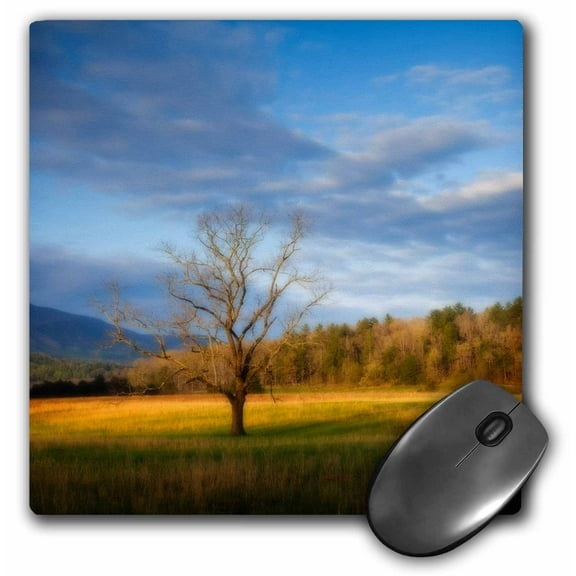 3dRose, USA, Tennessee, Pasture in Cades Cove., MousePad