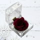 thumbnail image 3 of 1 pieza de flor preservada, rosa de la eternidad, rosa nunca marchita, regalo para el cumpleaños y aniversario del día de San Valentín con caja de regalo con cajón, 3 of 4