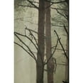 thumbnail image 3 of Hometrends Trailblazer Decorative Fabric Shower Curtain, 3 of 5