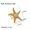 NBR2023169 Style, variant on Starfish Conch Stainless Steel Plated 18K Gold Ring for Women Adjustable Opening Geometric Design Classic Look