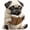 Pug A, variant on Adorable Pug Acrylic Car Vent Fragrance Diffuser,2D Cute Dog Design Solid Scented, Fun & Stylish Interior Accessory,Funny Automotive Fresheners