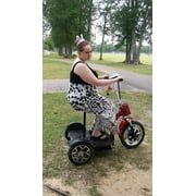 Portable Foldup Folding electric mobility scooter with 3 wheels trike