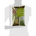 thumbnail image 3 of Big Train Dragonfly Honeydew Blended CrÃ¨me Beverage Mix, 3.5 lb, 3 of 5