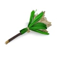 thumbnail image 3 of Juguete masticable Prevue Pet Products Applewood Rose para animales pequeños, 3 of 3