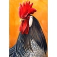 thumbnail image 1 of Taladro Pintura Diamante (DF3775) 5D DIY Kit de mosaico de punto de cruz de gallo completo (w1439) 20X30cm FLhrweasw Nuevo, 1 of 1