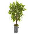 thumbnail image 1 of Nearly Natural 9532 55 in. River Birch Artificial Tree in Decorative Planter, 1 of 1