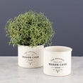thumbnail image 2 of Mason Cash | Heritage Herb Planter, 2 of 2
