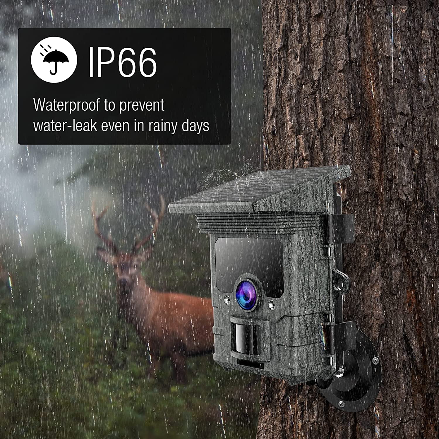 CAMPARK Solar Powered Trail Camera with SD Card Rechargeable 4400mAh 4K 48MP WiFi Game Camera with 0.1s Motion Activated Night Vision Waterproof IP66 for Wildlife Monitoring Hunting Trail Cam