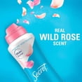 thumbnail image 3 of Secret Dry Spray Women'S Antiperspirant Deodorant, Vanilla, Wild Rose & Waterlily, 4.1 Oz., 3 Pk., 3 of 9