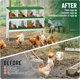thumbnail image 5 of Historyli Nido metálico para gallinas con 8 compartimentos y patas, fácil de recoger y limpiar, color verde, 5 of 6