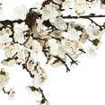 thumbnail image 3 of 24" Plum Blossom Wreath, 3 of 3