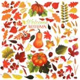 thumbnail image 1 of 280 Pieces Fall Leaves Window Clings Stickers Thanksgiving Pumpkin Maple Leaves Acorns Window Stickers for Autumn Party Decorations, 8 Sheets, 1 of 7