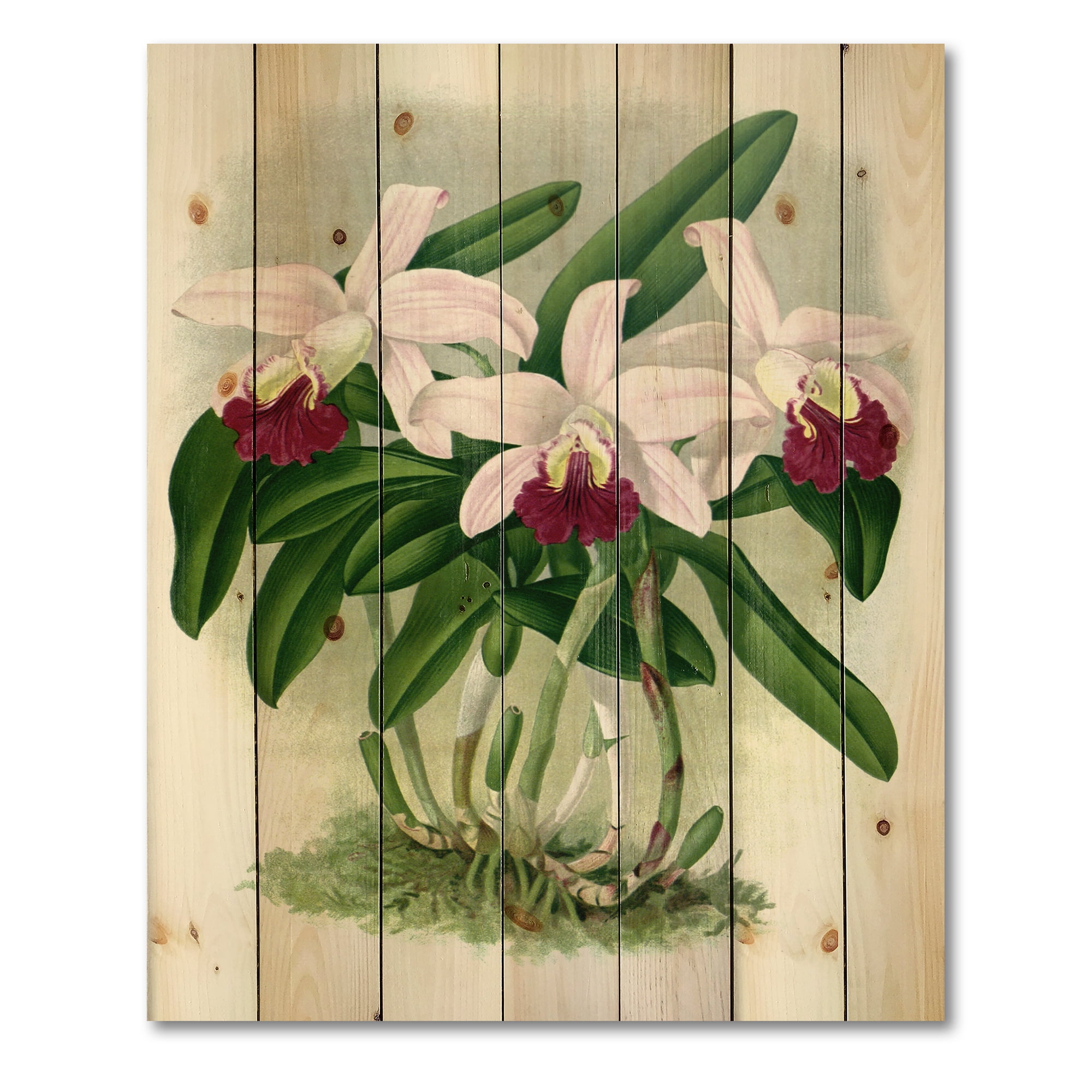 Designart 'White Vintage Orchid Flower I' Traditional Print on Natural Pine Wood