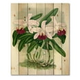 thumbnail image 3 of Designart 'White Vintage Orchid Flower I' Traditional Print on Natural Pine Wood, 3 of 5