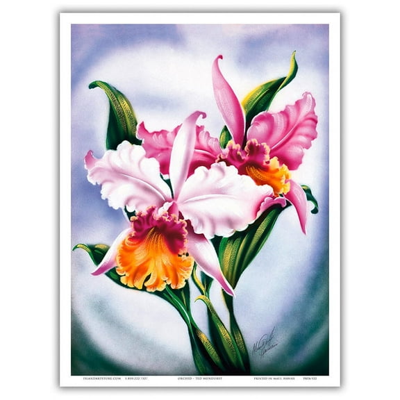 Pink Orchid Hawaii - Vintage Hawaiian Airbrush Art by Ted Mundorff c.1940s - Master Art Print (Unframed) 9in x 12in