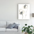 thumbnail image 3 of Trademark Fine Art 'Monochrome Floral Study VIII' Canvas Art by June Erica Vess, 3 of 4
